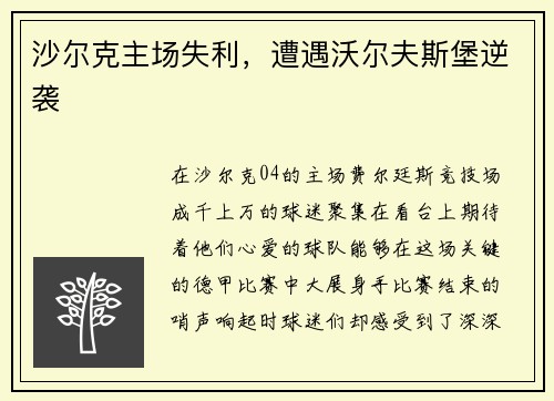 沙尔克主场失利，遭遇沃尔夫斯堡逆袭