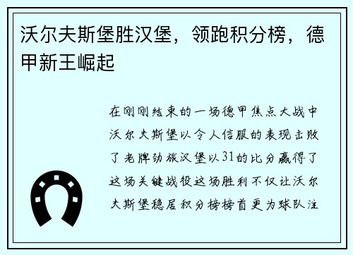 沃尔夫斯堡胜汉堡，领跑积分榜，德甲新王崛起